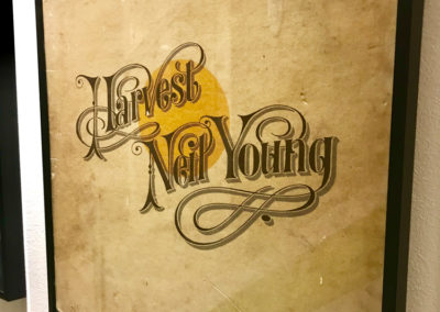 Showcasing A Collection